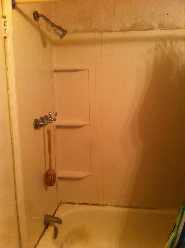 Downstairs bathroom desperately thirsty for bleach