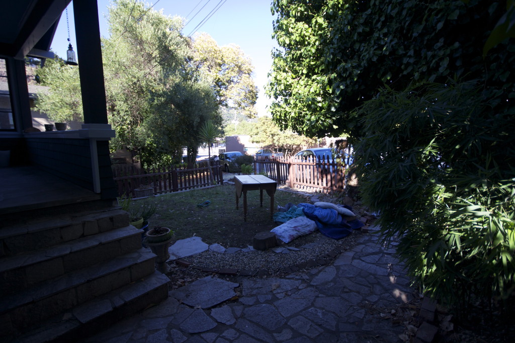 Front Yard.  Where blankets go to die.
